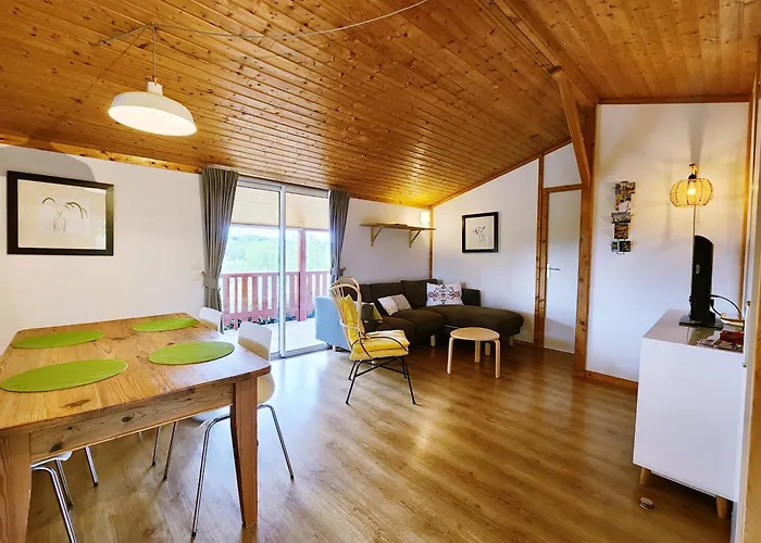 Cozy - Clim - Vue Pyrenees *