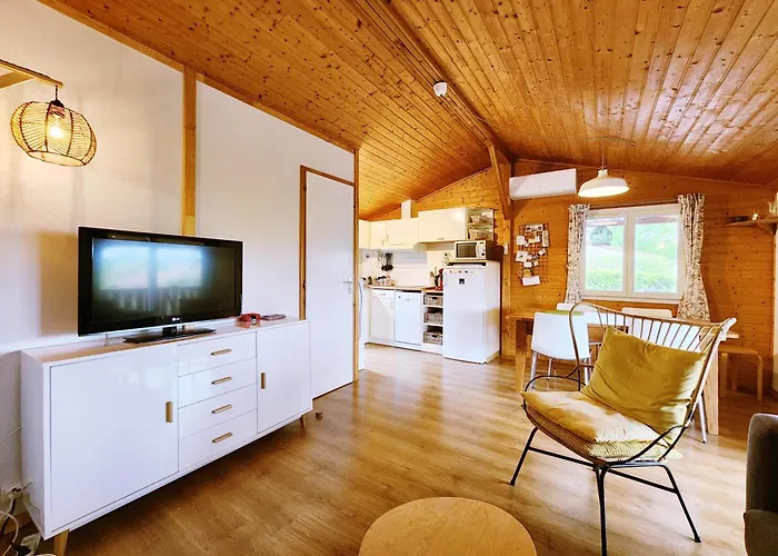 Cozy - Clim - Vue Pyrenees *